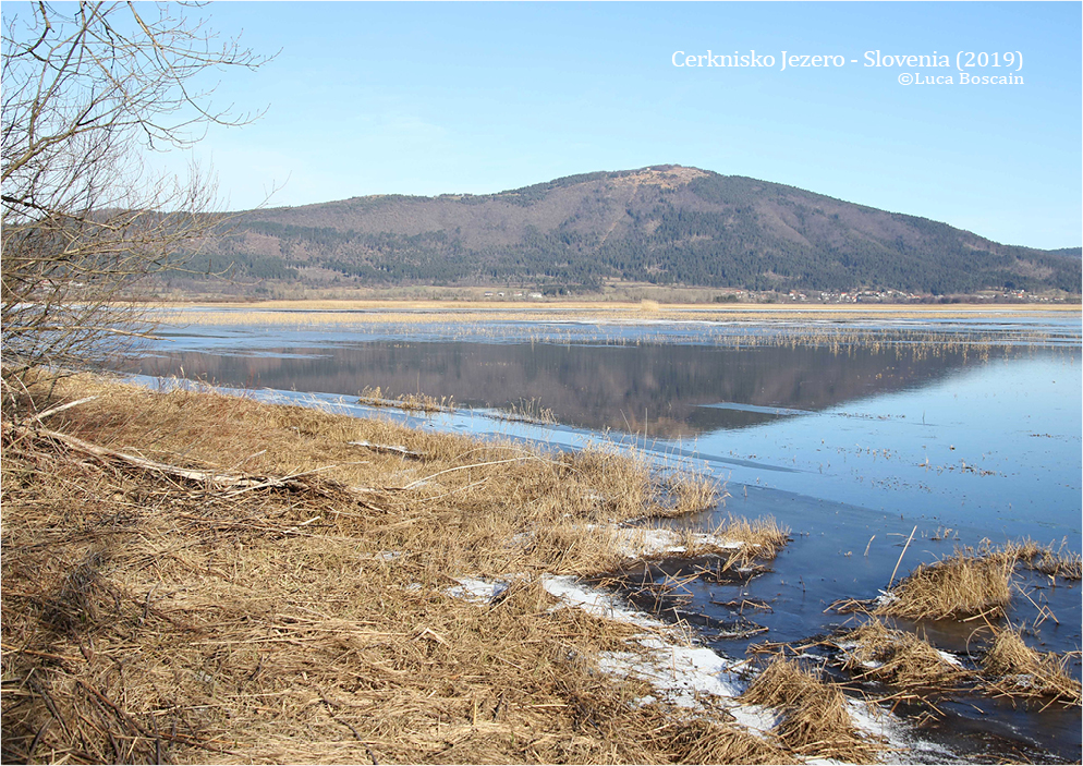 Cerknica lake with the shape of Slivnica (1,022 m ) in the back